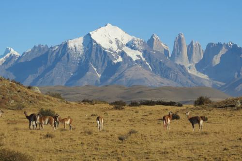Love Patagonia Chile